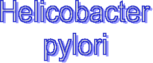 Helicobacter pylori