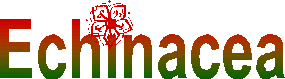 Echinacea- Der Sonnenhut